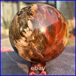 1208g Natural Petrified Wood Fossil Quartz Crystal Sphere Mineral Specimen