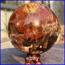 1208g Natural Petrified Wood Fossil Quartz Crystal Sphere Mineral Specimen