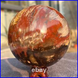 1208g Natural Petrified Wood Fossil Quartz Crystal Sphere Mineral Specimen