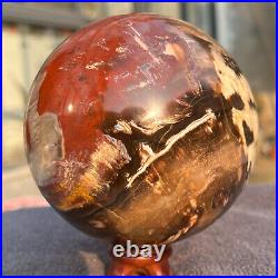 1208g Natural Petrified Wood Fossil Quartz Crystal Sphere Mineral Specimen