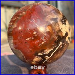 1208g Natural Petrified Wood Fossil Quartz Crystal Sphere Mineral Specimen