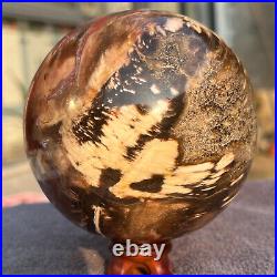 1208g Natural Petrified Wood Fossil Quartz Crystal Sphere Mineral Specimen