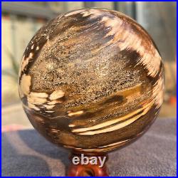 1208g Natural Petrified Wood Fossil Quartz Crystal Sphere Mineral Specimen