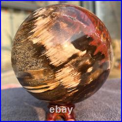 1208g Natural Petrified Wood Fossil Quartz Crystal Sphere Mineral Specimen