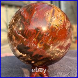 1208g Natural Petrified Wood Fossil Quartz Crystal Sphere Mineral Specimen