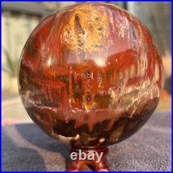 1208g Natural Petrified Wood Fossil Quartz Crystal Sphere Mineral Specimen