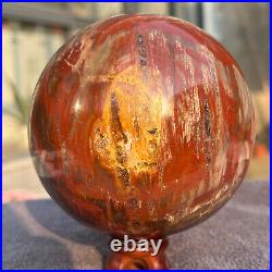 1208g Natural Petrified Wood Fossil Quartz Crystal Sphere Mineral Specimen