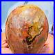 1260g_Natural_Red_Petrified_Wood_Crystal_Fossil_Landscape_Specimen_Reiki_Healing_01_xo
