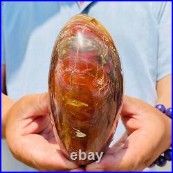 1260g Natural Red Petrified Wood Crystal Fossil Landscape Specimen Reiki Healing