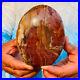 1270g_Natural_Red_Petrified_Wood_Crystal_Fossil_Landscape_Specimen_Reiki_Healing_01_ghu