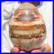 1280g_Large_Natural_Fossil_Petrified_Wood_Egg_Crystal_Mineral_Healing_01_mvf