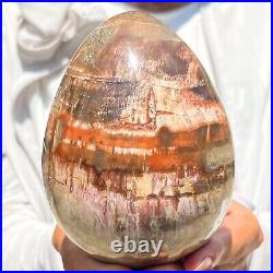 1280g Large Natural Fossil Petrified Wood Egg Crystal Mineral Healing