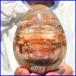 1280g Large Natural Fossil Petrified Wood Egg Crystal Mineral Healing