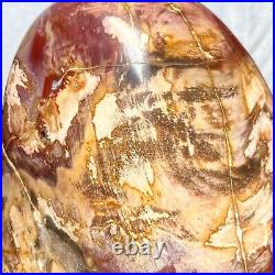 12.15LB Natural Fossil Petrified Wood Polished Freeform Crystal Mineral Healing
