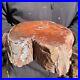 12_1LB_Rare_Natural_petrified_wood_rough_Wood_fossil_mineral_specimen_healing_01_lmx
