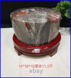 12.32LB Natural Petrified wood fossil quartz crystal decoration Mineral specimen 12.32LB Natural Petrified wood fossil quartz crystal decoration Mineral specimen
