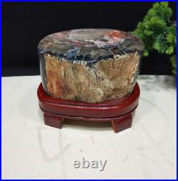 12.32LB Natural Petrified wood fossil quartz crystal decoration Mineral specimen 12.32LB Natural Petrified wood fossil quartz crystal decoration Mineral specimen