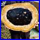 12_3LB_Large_Natural_Petrified_Wood_Crystal_Fossil_Slice_Shape_Specimen_Healing_01_wd