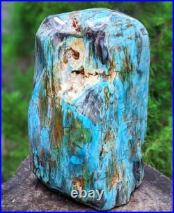 12.3 kg RARE! Blue Opalized Petrified Wood Decoration Freeform 1JUN3