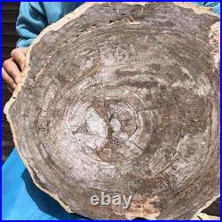 12.42KG Natural Petrified Wood Fossil Crystal Polished Slice Madagascar 44