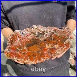 12.4LB Natural petrified wood rough Wood fossil mineral specimen healing energy