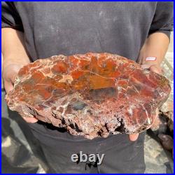 12.4LB Natural petrified wood rough Wood fossil mineral specimen healing energy