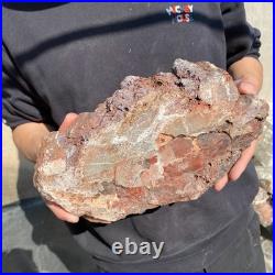 12.4LB Natural petrified wood rough Wood fossil mineral specimen healing energy
