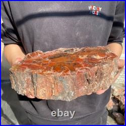 12.4LB Natural petrified wood rough Wood fossil mineral specimen healing energy