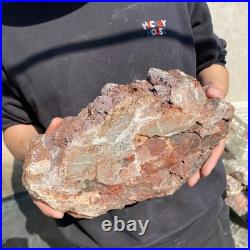 12.4LB Natural petrified wood rough Wood fossil mineral specimen healing energy