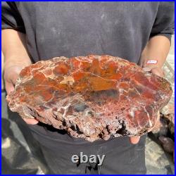 12.4LB Natural petrified wood rough Wood fossil mineral specimen healing energy