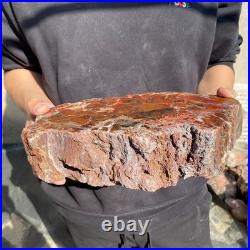 12.4LB Natural petrified wood rough Wood fossil mineral specimen healing energy