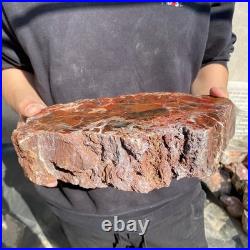 12.4LB Natural petrified wood rough Wood fossil mineral specimen healing energy