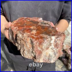 12.4LB Natural petrified wood rough Wood fossil mineral specimen healing energy