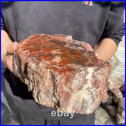 12.4LB Natural petrified wood rough Wood fossil mineral specimen healing energy