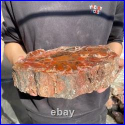 12.4LB Natural petrified wood rough Wood fossil mineral specimen healing energy