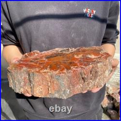 12.4LB Natural petrified wood rough Wood fossil mineral specimen healing energy