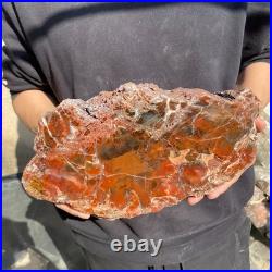 12.4LB Natural petrified wood rough Wood fossil mineral specimen healing energy