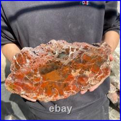 12.4LB Natural petrified wood rough Wood fossil mineral specimen healing energy