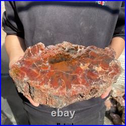 12.4LB Natural petrified wood rough Wood fossil mineral specimen healing energy