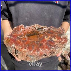 12.4LB Natural petrified wood rough Wood fossil mineral specimen healing energy