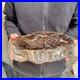 12_4lb_Rare_Natural_petrified_wood_rough_Wood_fossil_mineral_specimen_healing_01_ctdr
