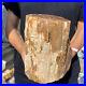 12_4lb_Rare_Natural_petrified_wood_rough_Wood_fossil_mineral_specimen_healing_01_rl