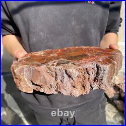 12.4lb Rare Natural petrified wood rough Wood fossil mineral specimen healing