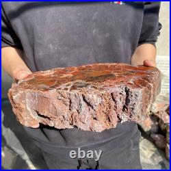 12.4lb Rare Natural petrified wood rough Wood fossil mineral specimen healing