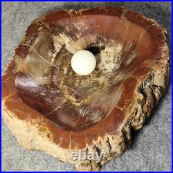 12.68lb Natural Petrified Wood Fossil Large Ashtray Healing! G190 12.68lb Natural Petrified Wood Fossil Large Ashtray Healing! G190