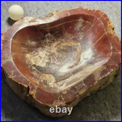 12.68lb Natural Petrified Wood Fossil Large Ashtray Healing! G190 12.68lb Natural Petrified Wood Fossil Large Ashtray Healing! G190