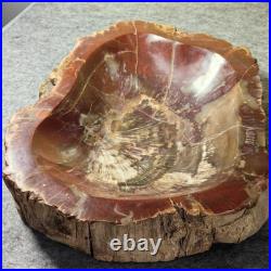 12.68lb Natural Petrified Wood Fossil Large Ashtray Healing! G190 12.68lb Natural Petrified Wood Fossil Large Ashtray Healing! G190