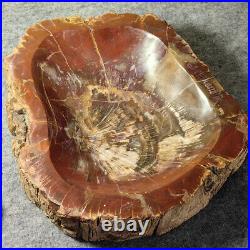 12.68lb Natural Petrified Wood Fossil Large Ashtray Healing! G190 12.68lb Natural Petrified Wood Fossil Large Ashtray Healing! G190