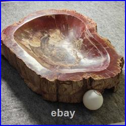 12.68lb Natural Petrified Wood Fossil Large Ashtray Healing! G190 12.68lb Natural Petrified Wood Fossil Large Ashtray Healing! G190