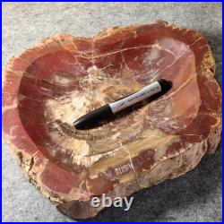 12.68lb Natural Petrified Wood Fossil Large Ashtray Healing! G190 12.68lb Natural Petrified Wood Fossil Large Ashtray Healing! G190